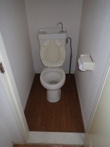 P7140036-e1676623535940